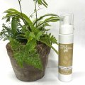 ポールミッチェルウォーターレス泡シャンプー250ml (ブランド名称価格変更)