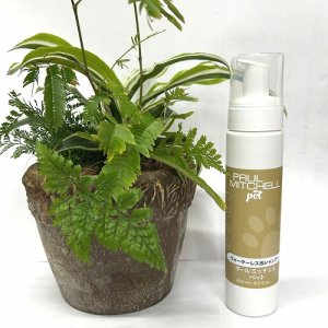 画像1: ポールミッチェルウォーターレス泡シャンプー250ml (ブランド名称価格変更)