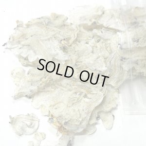 画像1: 自然と健康　【無添加】しらすパフ　8ｇ