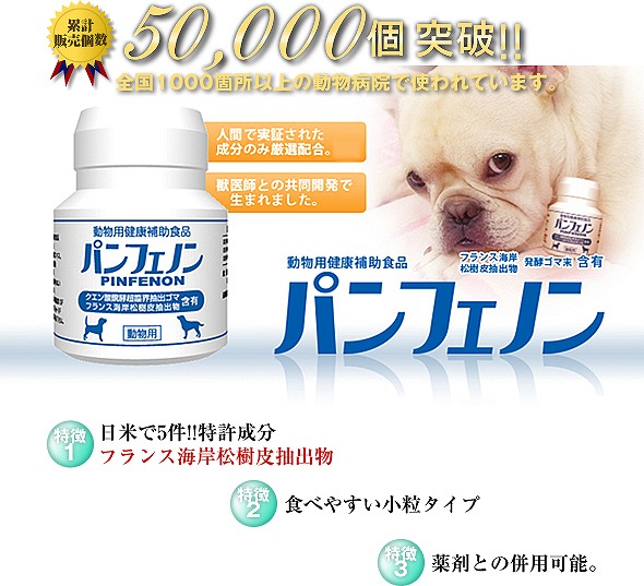 chichi様専用】パンフェノン120粒×2本の+centrotecnicodirecthair.com.br