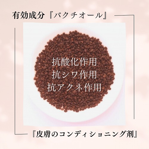 画像: アーユル　ニーム　業務用シャンプー　3L（現在庫限り一部成分変更）（現在庫限り価格改定）