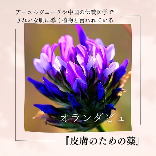 画像: アーユル　ニーム　業務用シャンプー　3L（現在庫限り一部成分変更）（現在庫限り価格改定）